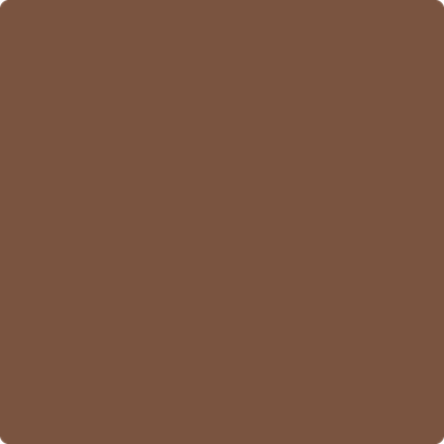 2096-20: Chocolate Truffle Brown a paint color by Benjamin Moore avaiable at Clement's Paint in Austin, TX.