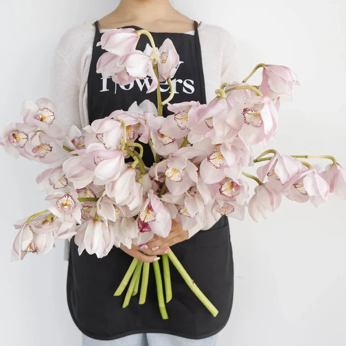Cymbidium Orchids Baby Pink Burgundy Lip Apron - Image