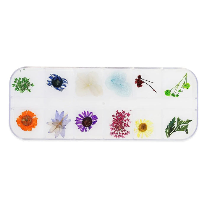 Dried Flower Set - 006 Naio Nails