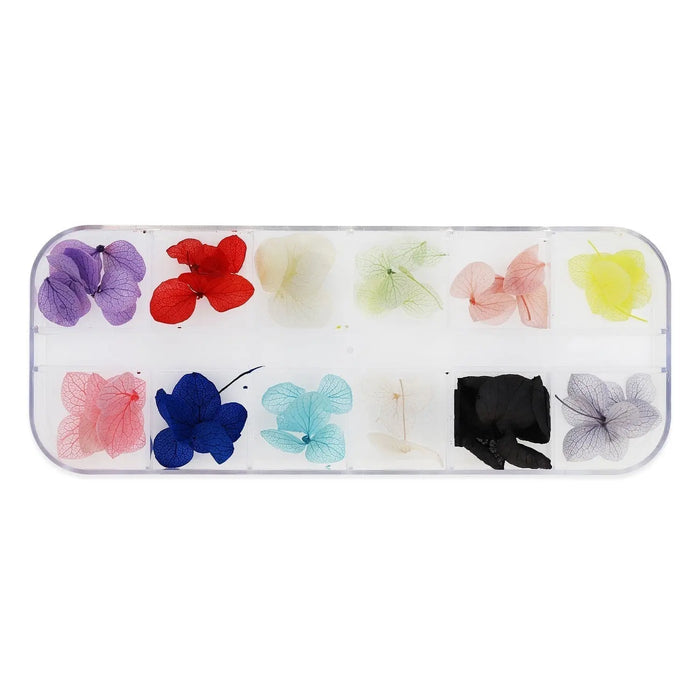 Dried Flower Set - 007 Naio Nails
