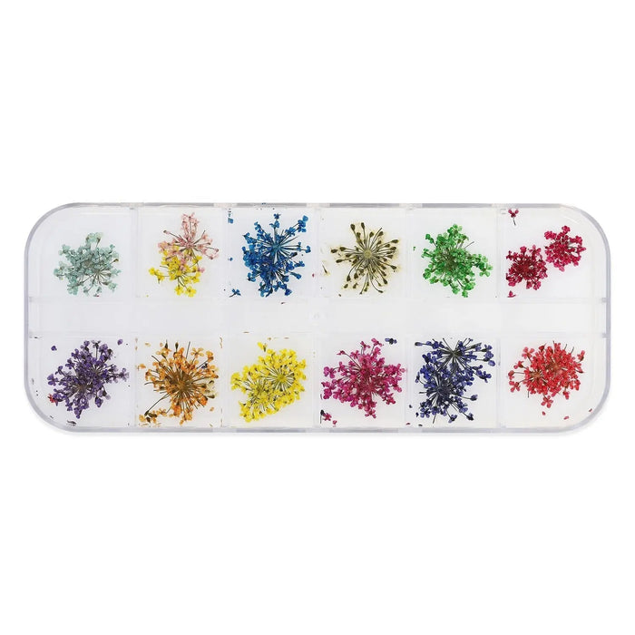 Dried Flower Set - 009 Naio Nails