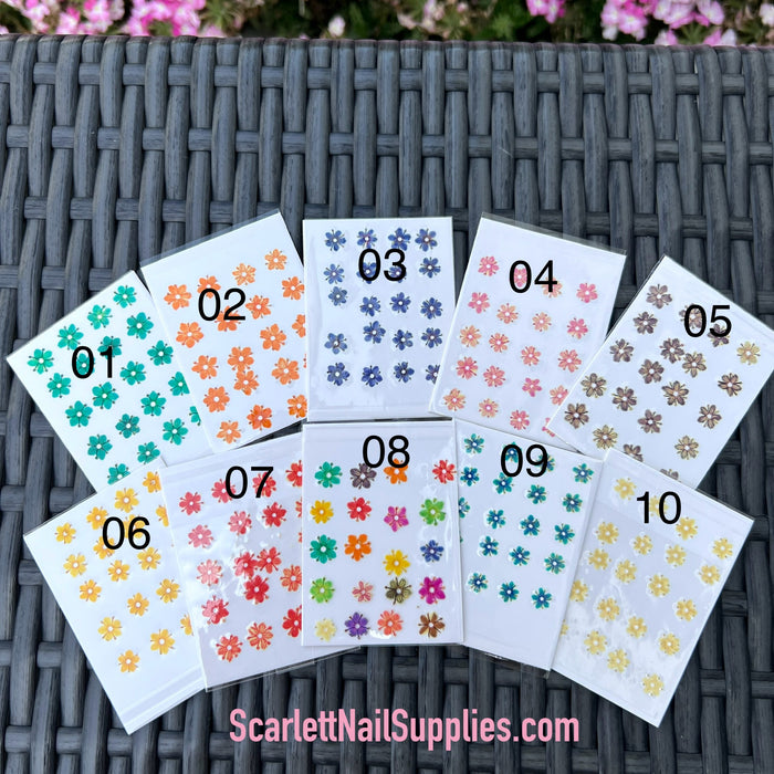 Set 20pcs Premium Real Dry Flower for Nail Decoration