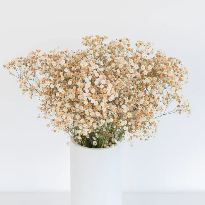 Toffee Airbrushed Babys Breath Flower Apron - Image