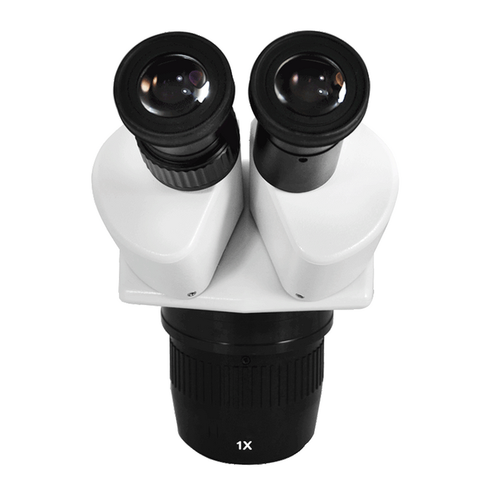 10X/20X Dual Power Stereo Microscope Head, Binocular, Focusable Eyepiece FS05031121