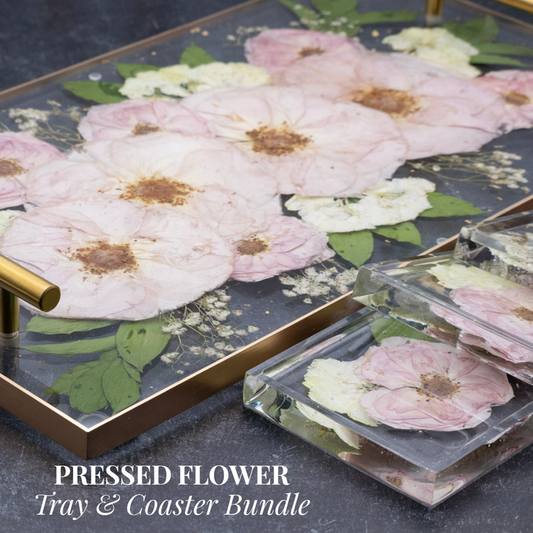 Wild Coast Flower Preservation pressed flower frame collection graphic showing all frame styles and sizes