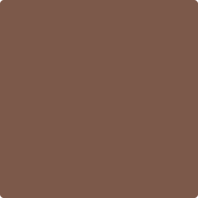 2097-30: Hedgehog Brown  a paint color by Benjamin Moore avaiable at Clement's Paint in Austin, TX.