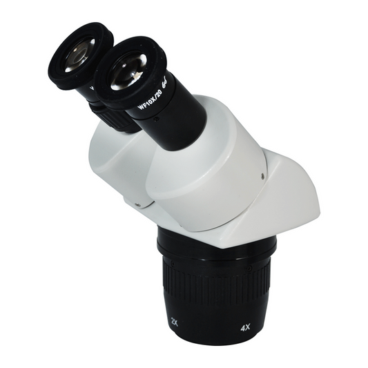 20X/40X Dual Power Stereo Microscope Head, Binocular, Focusable Eyepiece, SKU FS05031321, three quarter front view