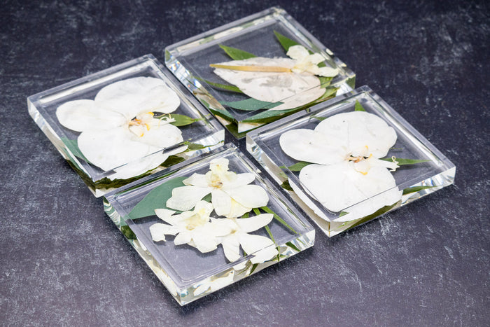 Landscape photo of a pressed flower square raised-edge coaster with soft dried botanical layers