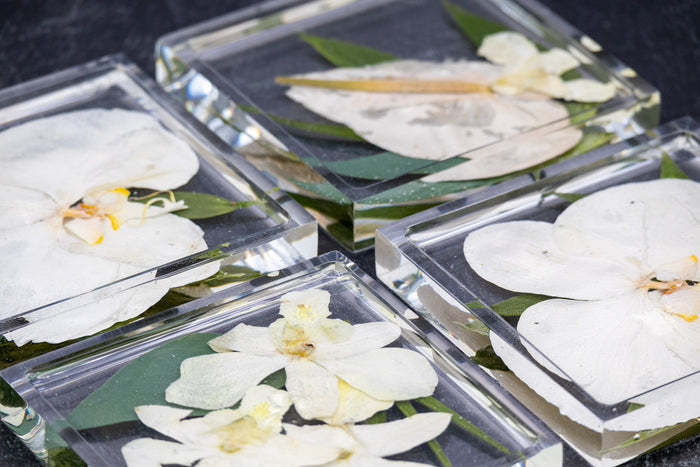 Landscape photo of a pressed flower square raised-edge coaster with mixed dried botanical layers