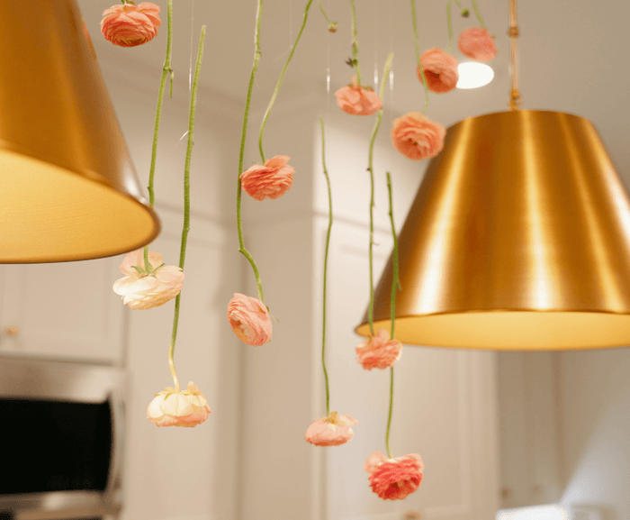 A Night In, Bloomed to Perfection
