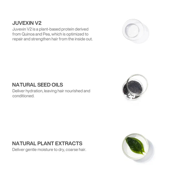 Ingredient of Balancing Conditioner containing: Juvexin V2, Natural Seed Oils, Natural Plant Exracts with white background.