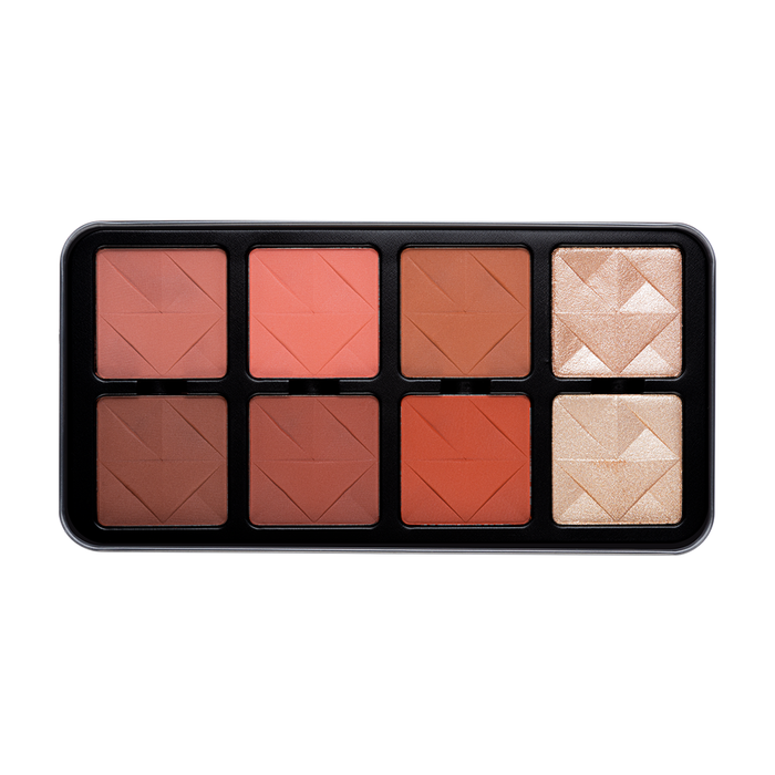 Character Pro Highlighter & Blush Palette C-A201.
