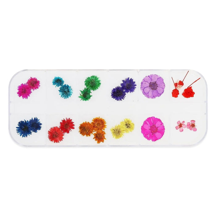 Dried Flower Set - 005   Naio Nails