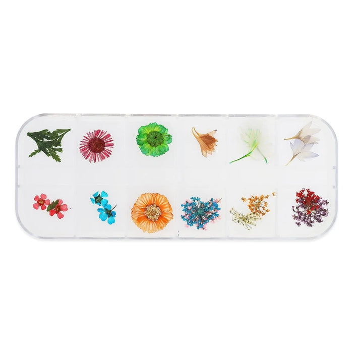 Dried Flower Set - 008   Naio Nails