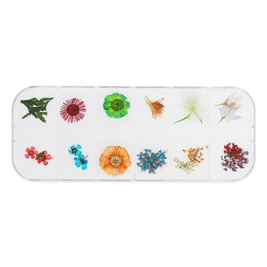 Dried Flower Set - 008   Naio Nails