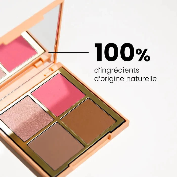 PINC - PAL - BONMIN - Duo la palette bonne mine + le pinceau - Charlotte Bio