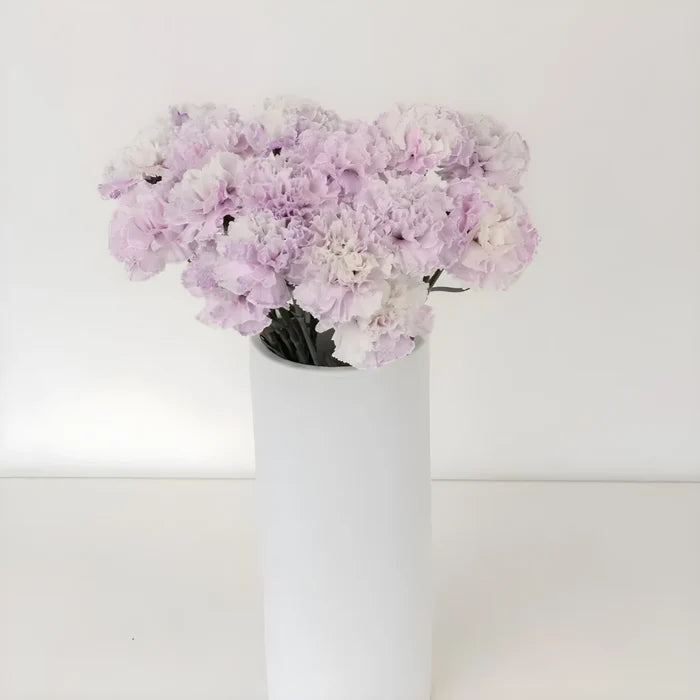 Dusty Lavender Tinted Carnation Flowers Vase - Image