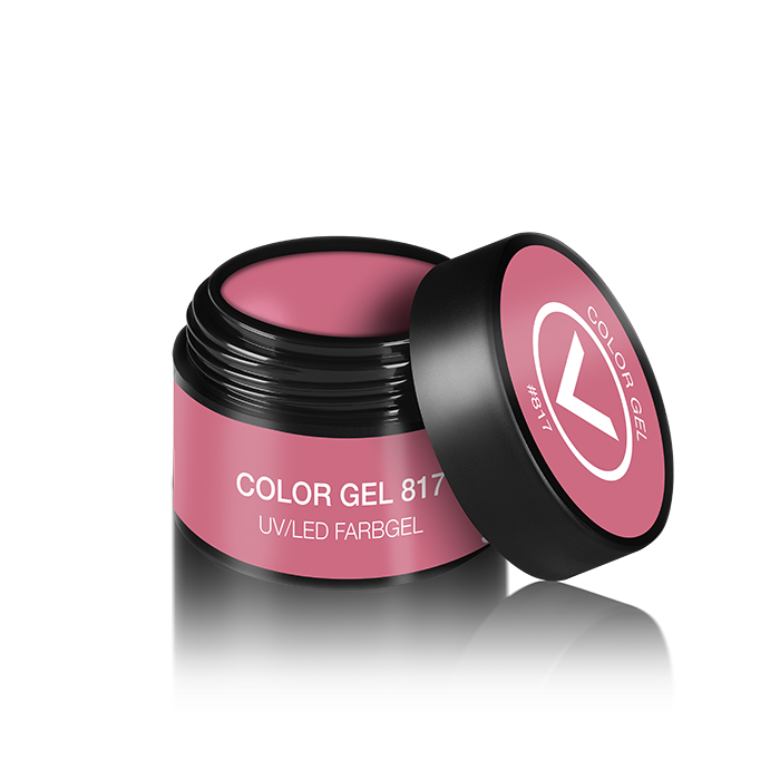 FARBGEL 5ml #817