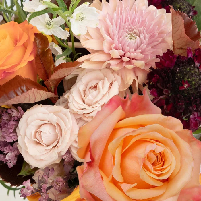 Golden Plum Garden Diy Flower Kit Close Up - Image