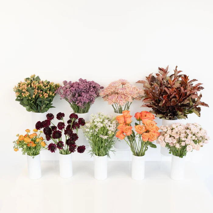Golden Plum Garden Diy Flower Kit Stem - Image