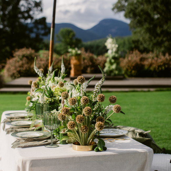 “I Love You a Great Dill” Shoot at Cenita Vineyards