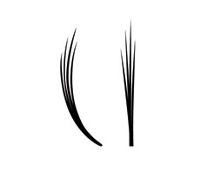 Lash beLong Eyelash Volume Extensions