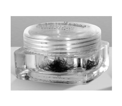 Lash beLong Individual Lash Extensions Black