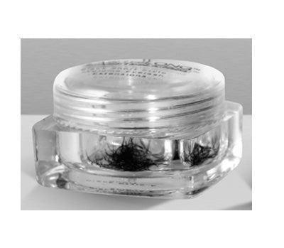 Lash beLong Individual Lash Extensions Black