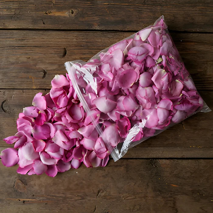 Magenta Garden Rose Petals