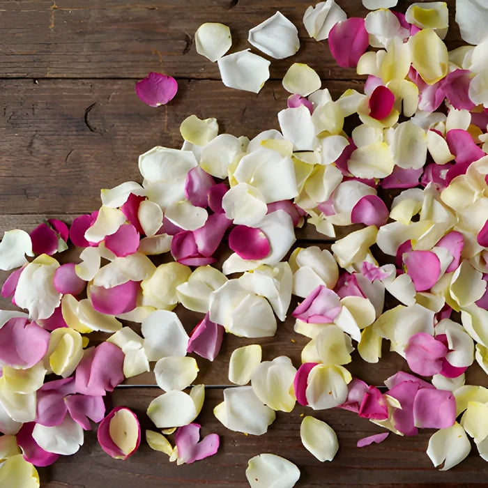 Bulk Dried Rose Petals Grey Knights