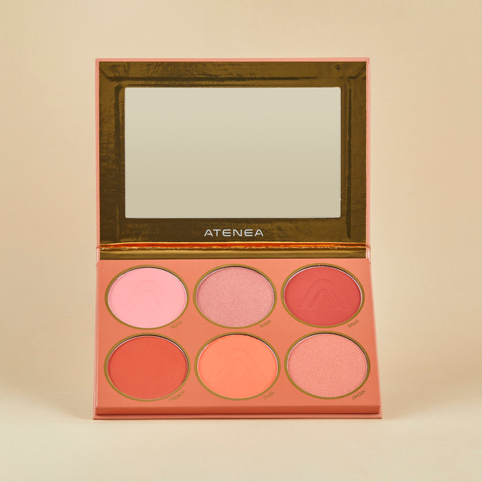 PALETA DE RUBORES ATEMPORAL | MAKEUP EXPERT