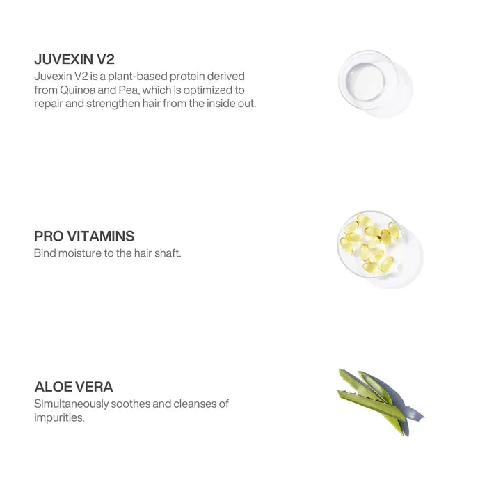 pH+ Shampoo ingredients: Juvexin V2 quinoa and pea protein repairs hair, Pro Vitamins bind moisture, Aloe Vera soothes and cleanses