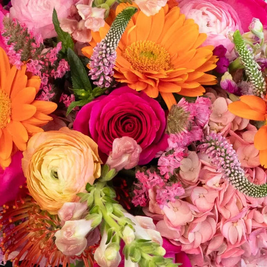 Pink With A Tangerine Twist Diy Flower Kit Close Up - Image