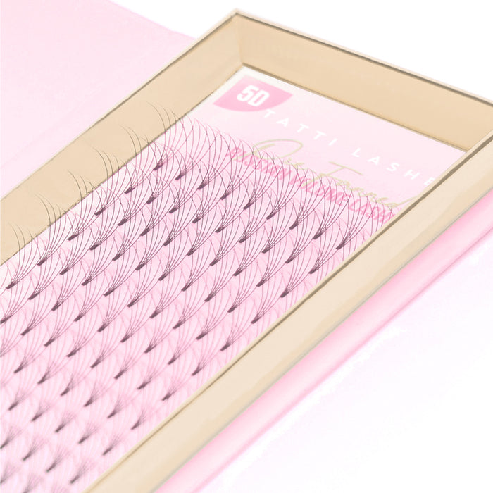 Pre-Russian Volume 5D Lash Tray