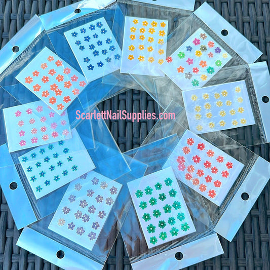 Set 20pcs Premium Real Dry Flower for Nail Decoration