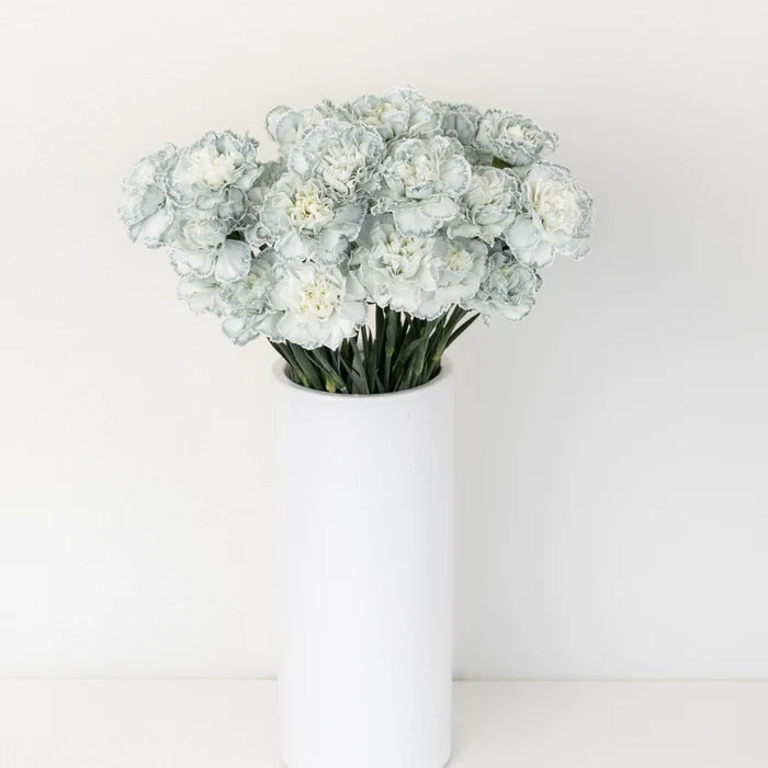 Jade Tinted Carnation Flowers Vase - Image