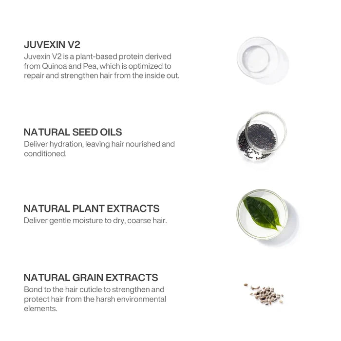 Silver Bombshell Shampoo ingredients: Juvexin V2 protein from quinoa and pea, natural seed oils, plant and grain extracts