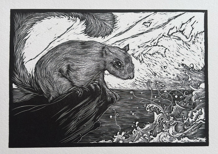 Squirrel and the sea