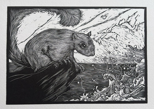 Squirrel and the sea