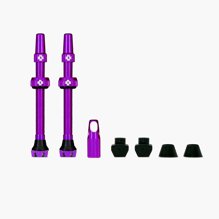 44mm / Purple