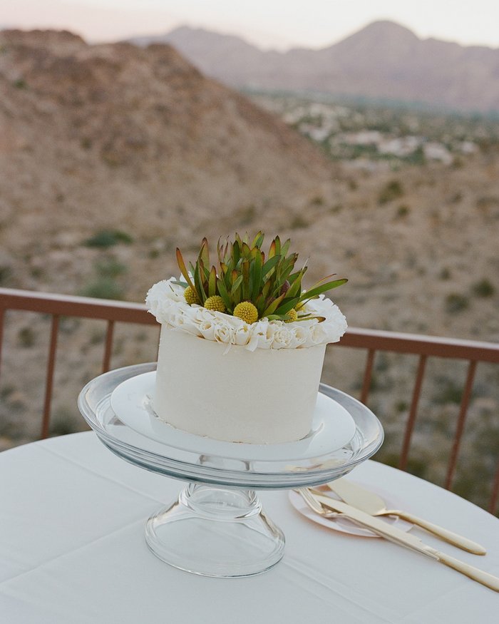 Where Orchids Meet the Desert Sky